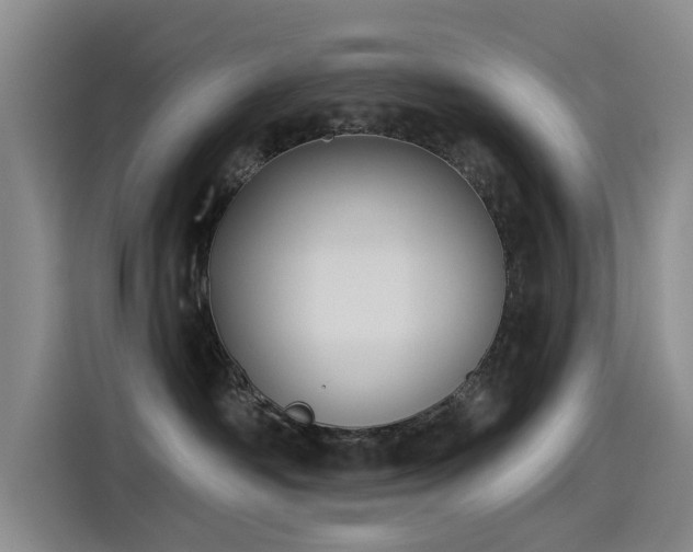 X0000115230334200911061132