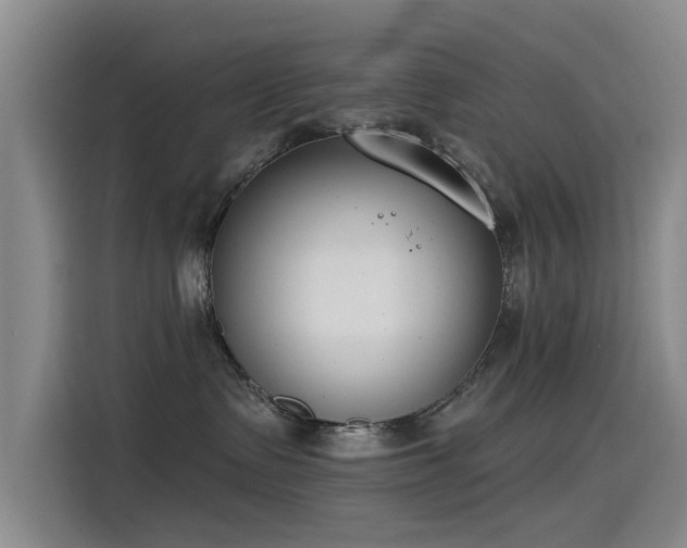 X0000115230335200911061132