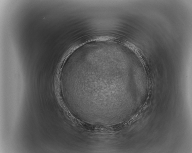 X0000115230337200911061132