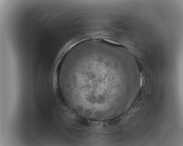 X0000115230339200911061132