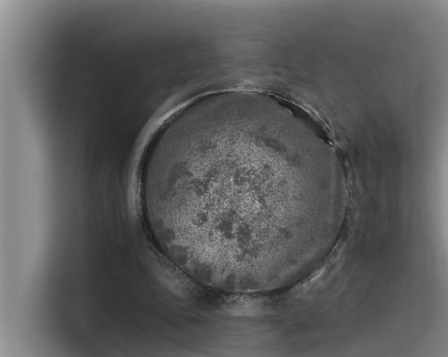 X0000115230343200911061132