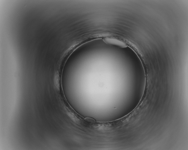 X0000115230345200911061132