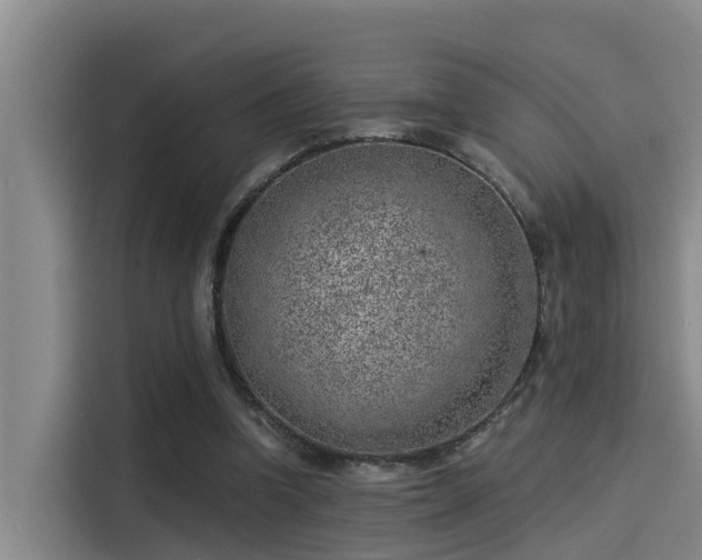 X0000115230346200911061132