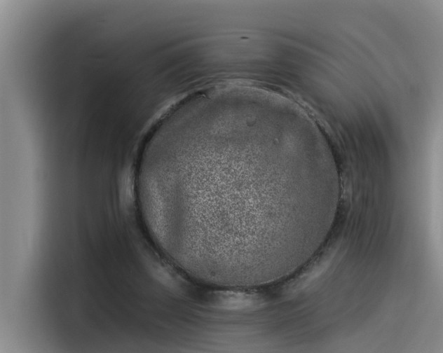 X0000115230347200911061132