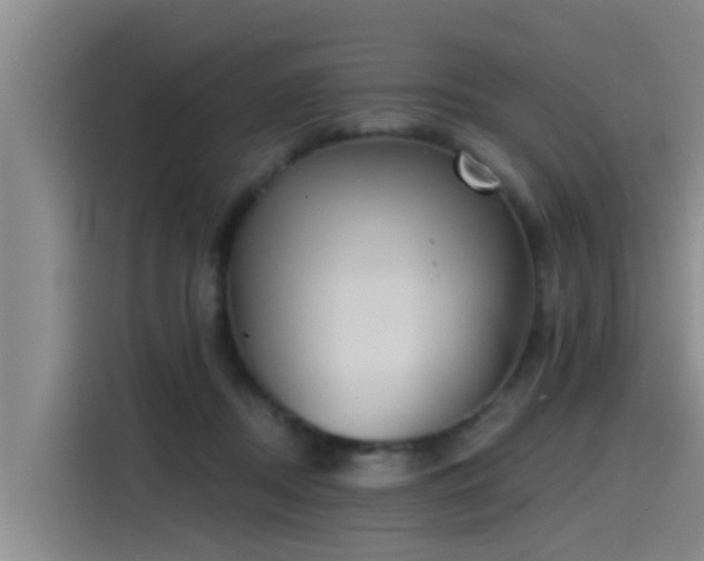 X0000115230362200911061132