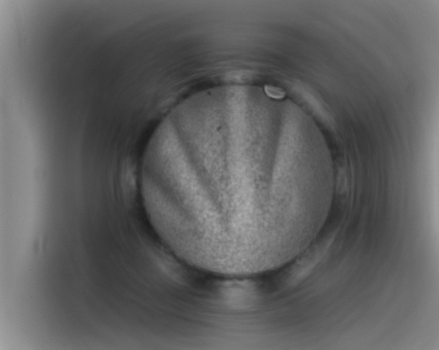 X0000115230363200911061132