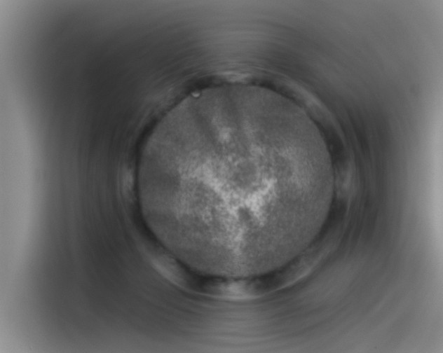 X0000115230365200911061132