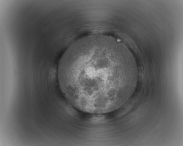 X0000115230369200911061132