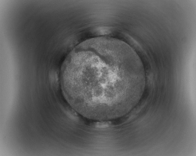 X0000115230373200911061132
