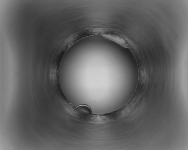 X0000115230379200911061132
