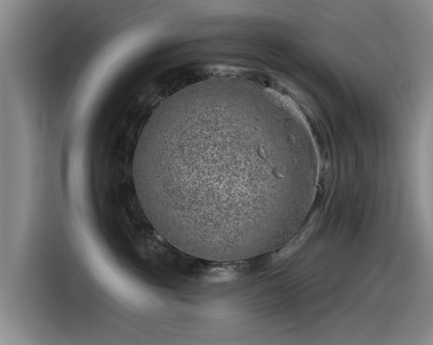 X0000115230381200911061132