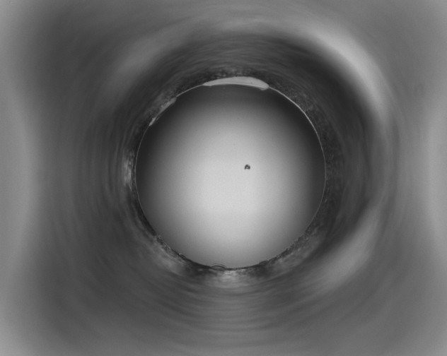 X0000115230382200911061132