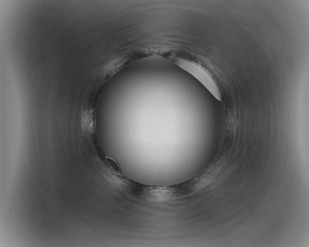 X0000115230383200911061132
