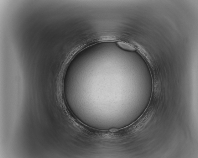 X0000115230385200911061131