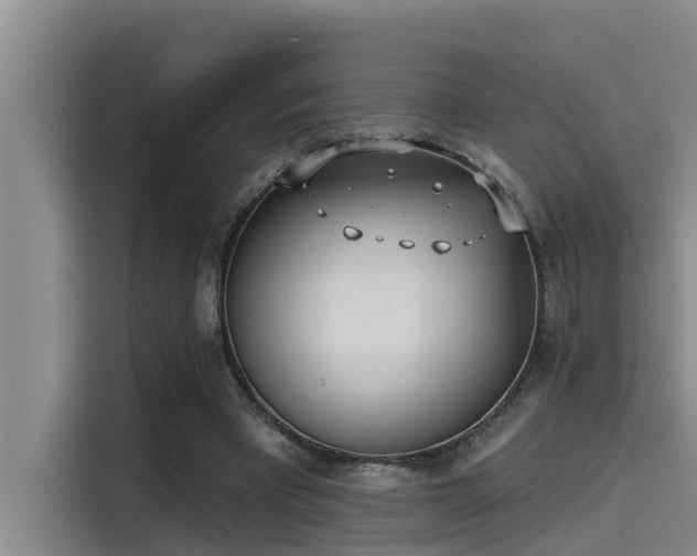 X0000115230393200911061131