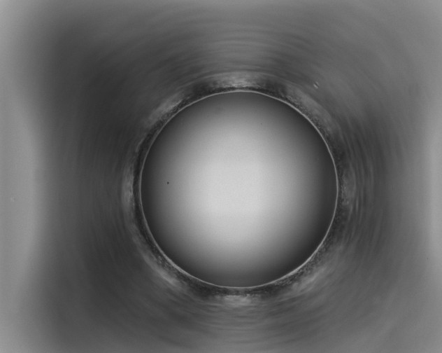 X0000115230394200911061131