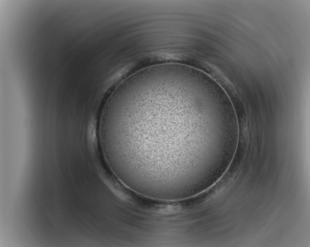 X0000115230398200911061131
