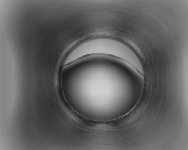 X0000115230399200911061131