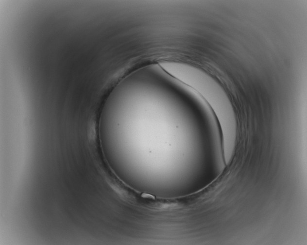 X0000115230401200911061131