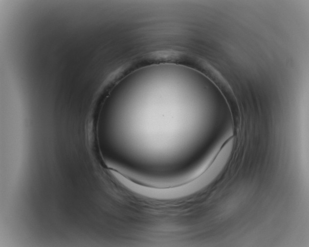 X0000115230403200911061131