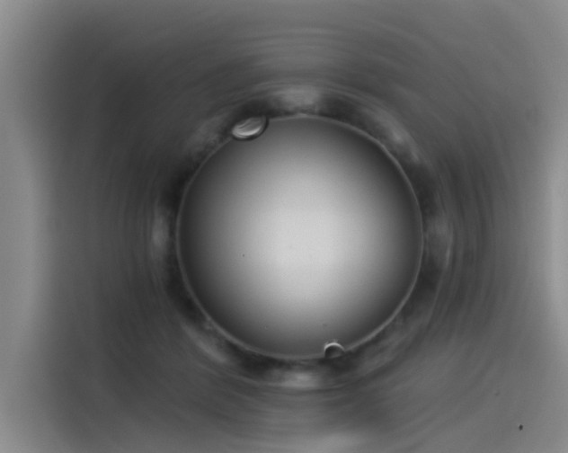 X0000115230412200911061131
