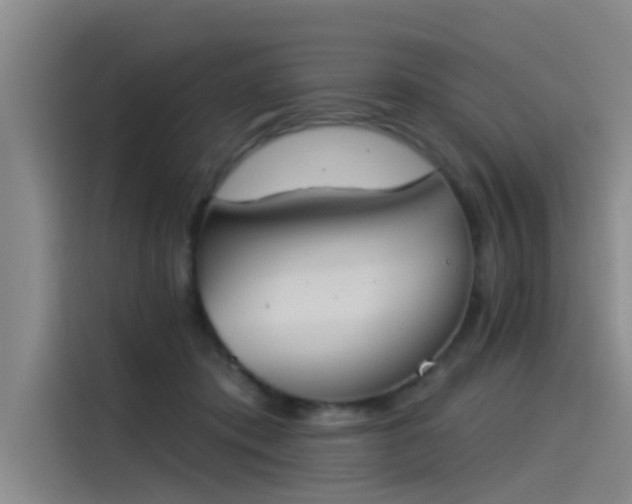 X0000115230413200911061131