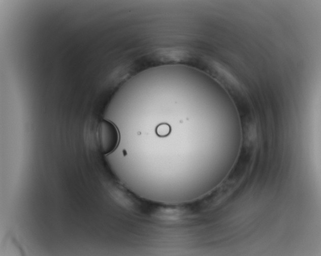 X0000115230414200911061131