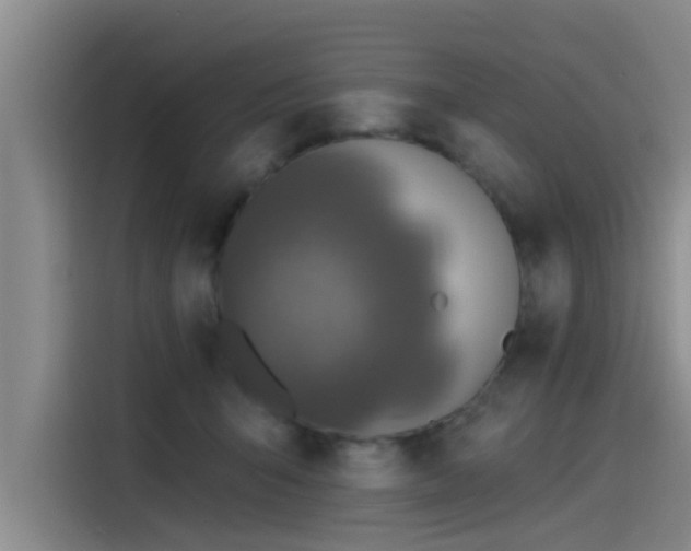 X0000115230415200911061131