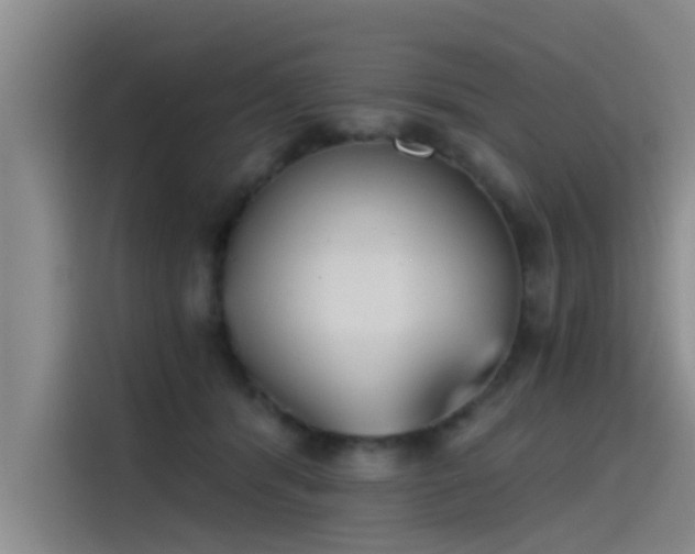X0000115230416200911061131