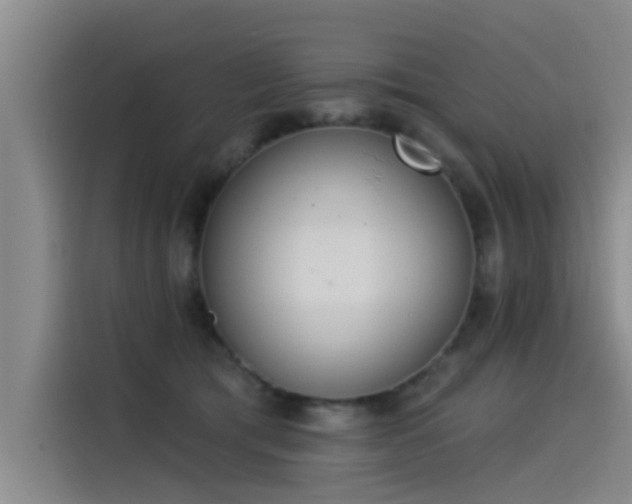 X0000115230417200911061131