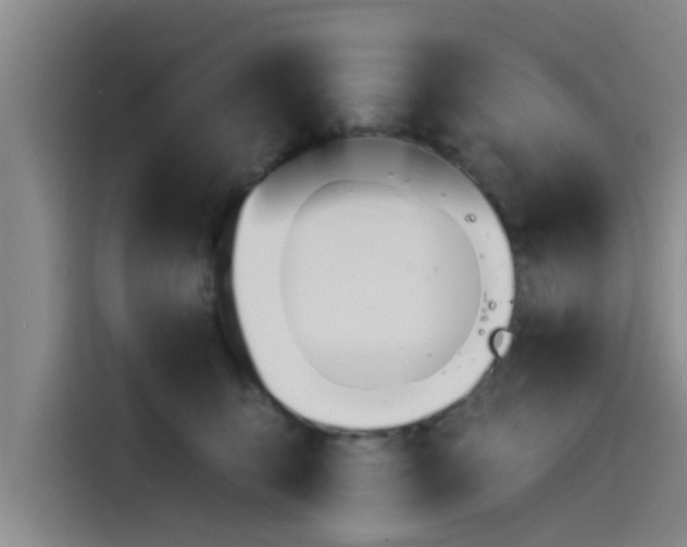 X0000115230419200911061131
