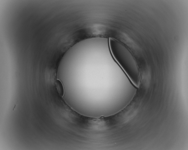 X0000115230421200911061131