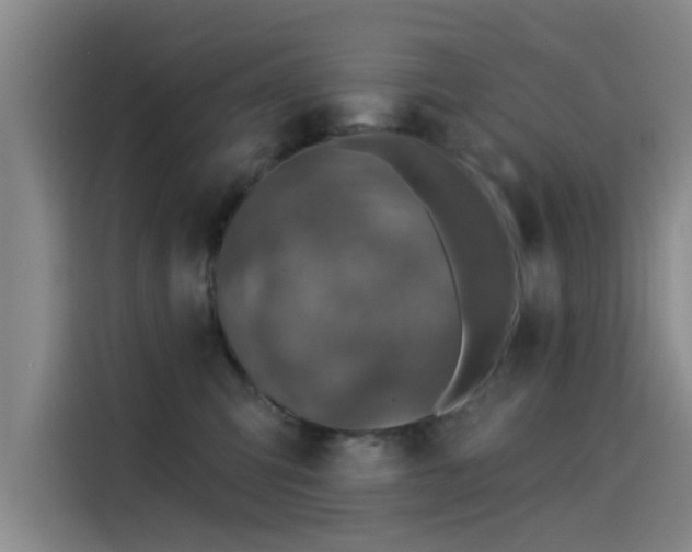 X0000115230423200911061131
