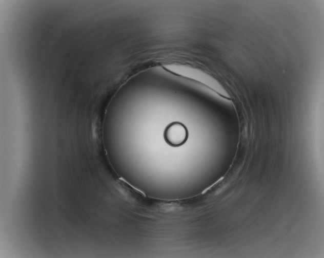 X0000115230424200911061131