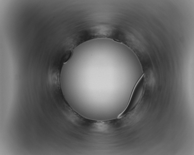 X0000115230425200911061131