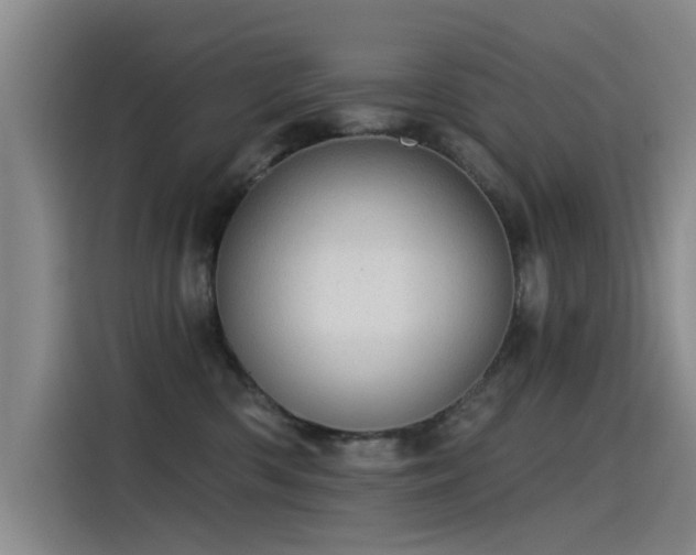 X0000115230426200911061131