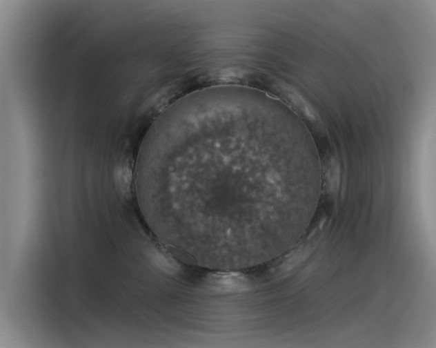 X0000115230427200911061131