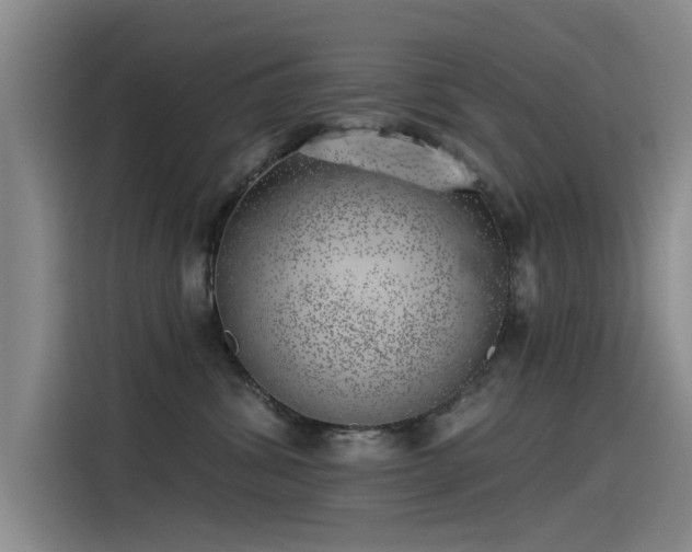 X0000115230428200911061131
