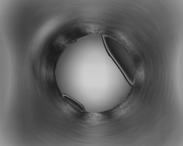 X0000115230429200911061131