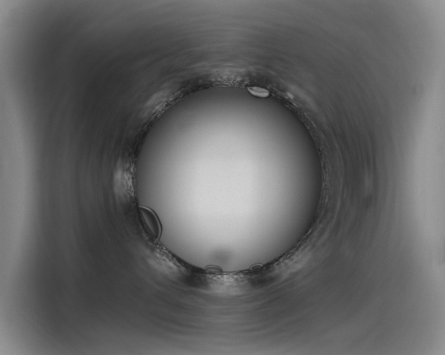 X0000115230432200911061131