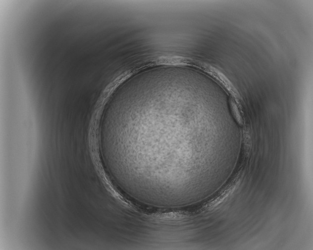 X0000115230433200911061130