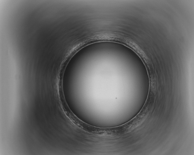 X0000115230434200911061130