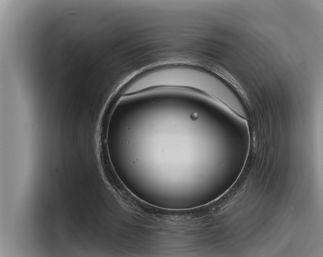 X0000115230436200911061130