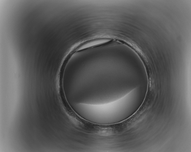 X0000115230438200911061130