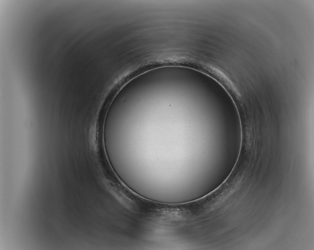 X0000115230439200911061130