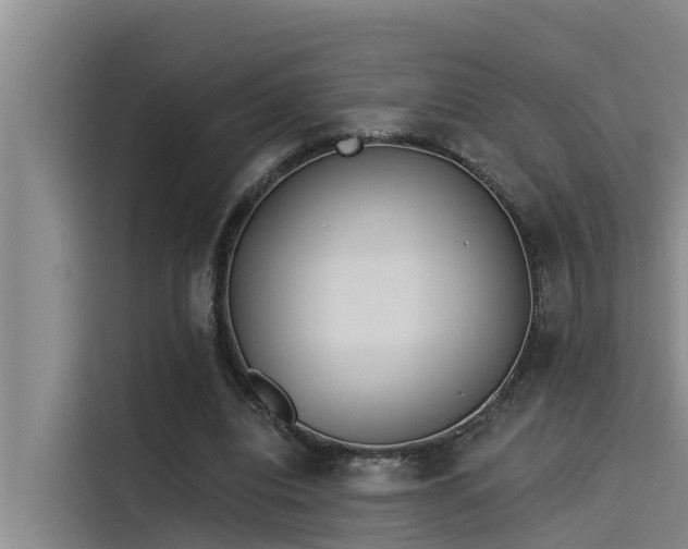 X0000115230440200911061130