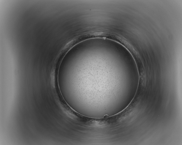 X0000115230442200911061130