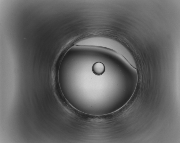 X0000115230444200911061130
