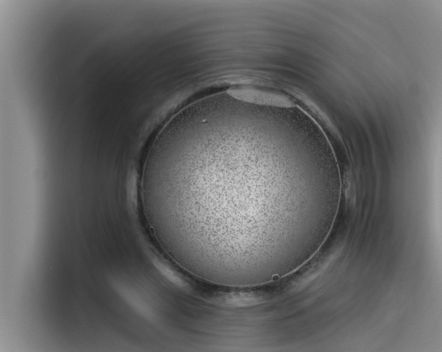 X0000115230445200911061130