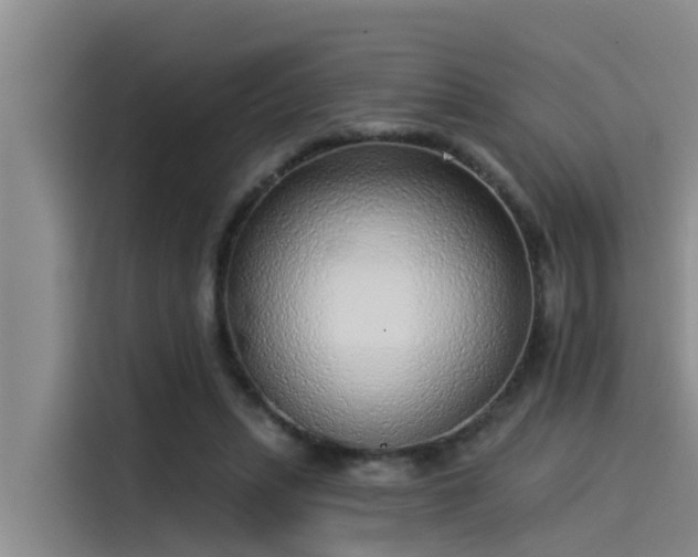 X0000115230447200911061130